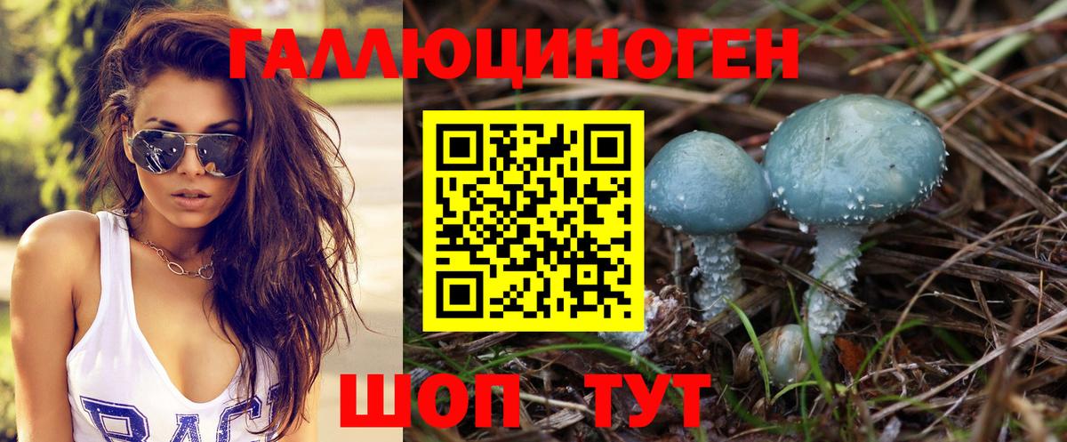 Псилоцибиновые грибы прущие грибы Междуреченск